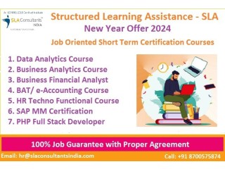 Financial Modelling Course | 100%Job, SLA Institute [2024]