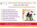 data-analytics-course-in-delhi-110056-new-year-offer-2025-by-sla-consultants-india-small-1