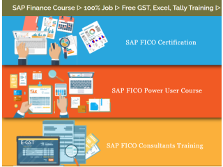 SAP FICO Institute in GTB Nagar, Delhi, 100% Job Guarantee, Accounting, Tally, Free GST & Taxation Certification, Best Salary Offer