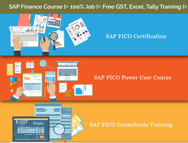 sap-fico-institute-in-gtb-nagar-delhi-100-job-guarantee-accounting-tally-free-gst-taxation-certification-best-salary-offer-big-0