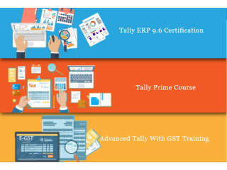 Tally Institute in Netaji Subhash Place, Delhi SLA Accounting Classes, GST, SAP FICO Training Institute, Best Offer with 100% Job