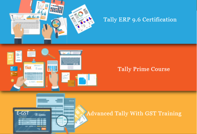 tally-institute-in-netaji-subhash-place-delhi-sla-accounting-classes-gst-sap-fico-training-institute-best-offer-with-100-job-big-0