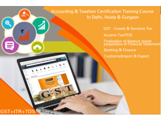 GST Course in Laxmi Nagar, Delhi, Free Tally Prime, Balance Sheet Practical Classes,