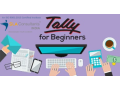 tally-course-in-delhi-sla-institute-nehru-place-with-accounting-gst-sap-fico-certification-100-job-placement-small-0