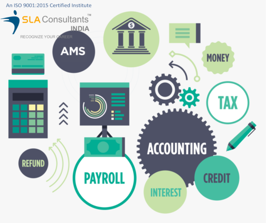 accounting-training-in-delhi-laxmi-nagar-sla-institute-tally-gst-sap-fico-certification-by-expert-100-job-big-0