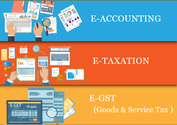 online-accounting-course-with-gst-certification-100-job-salary-upto-25-lpa-gst-sap-fico-training-certification-delhi-noida-big-0