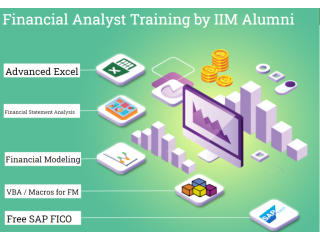 Job Oriented Financial Modeling Institute in Delhi, 100% Financial Analyst Job, Salary Upto 6 LPA, SLA Institute,