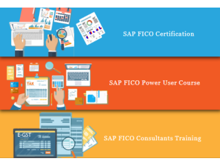 SAP FICO Coaching in Geeta Colony, Delhi, SLA SAP Learning Tutorial Learning, SAP Hana Finance, GST Training Certification,