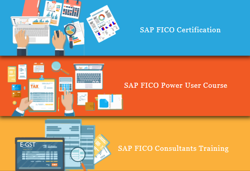 sap-fico-coaching-in-geeta-colony-delhi-sla-sap-learning-tutorial-learning-sap-hana-finance-gst-training-certification-big-0