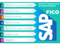 sap-fico-training-in-laxmi-nagar-delhi-sla-institute-best-e-accounting-tally-sap-fico-bat-certification-with-100-sept23-offer-small-0